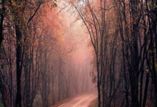 爱游戏体育：刘宇坤当选国际射联年度最佳男运动员.