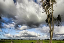 爱游戏体育：詹姆斯完成生涯第八次压哨绝杀，为湖人生涯首次.