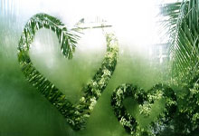 31分11篮板！湖人奇兵爆发，1234号位全覆盖，锁死莫兰特攻防俱佳.