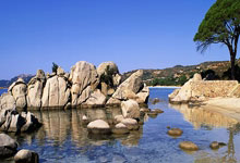 爱游戏体育：中国球迷：期望在杭州主场“喊赢”国足.